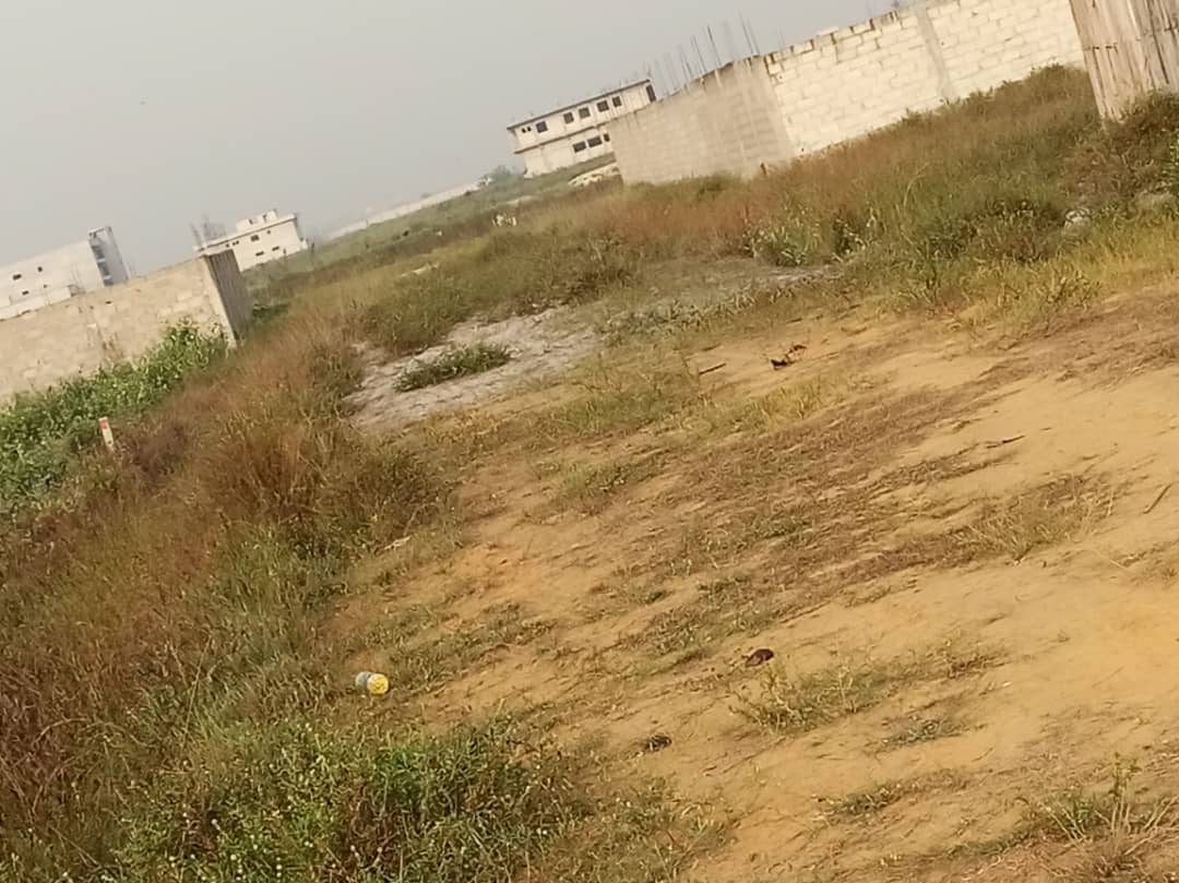 Terrain de 500M²